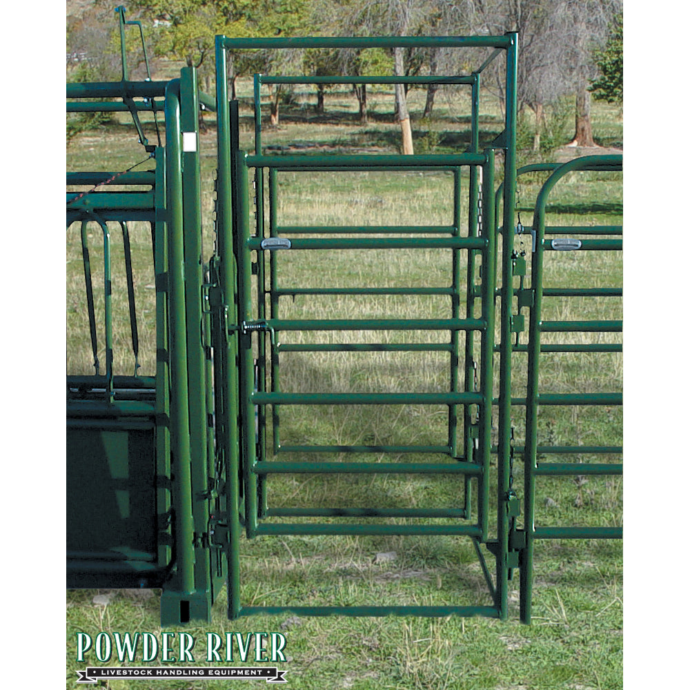 Value Pregnancy Test Gate