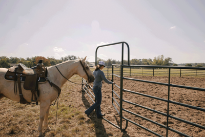 Economy Round Pens