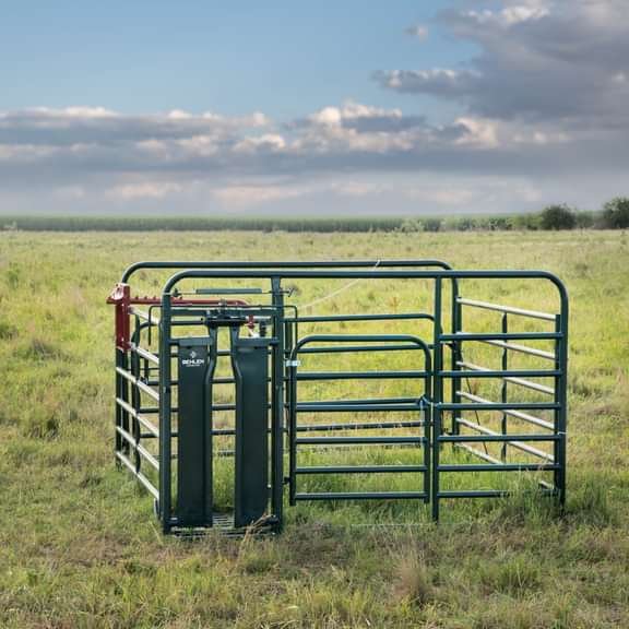 10' x 10' Care Center w/CL-5 Headgate