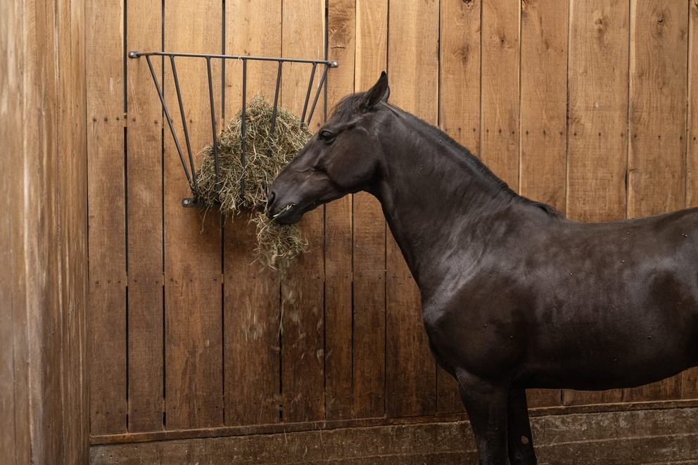 StallMate Wall Feeder