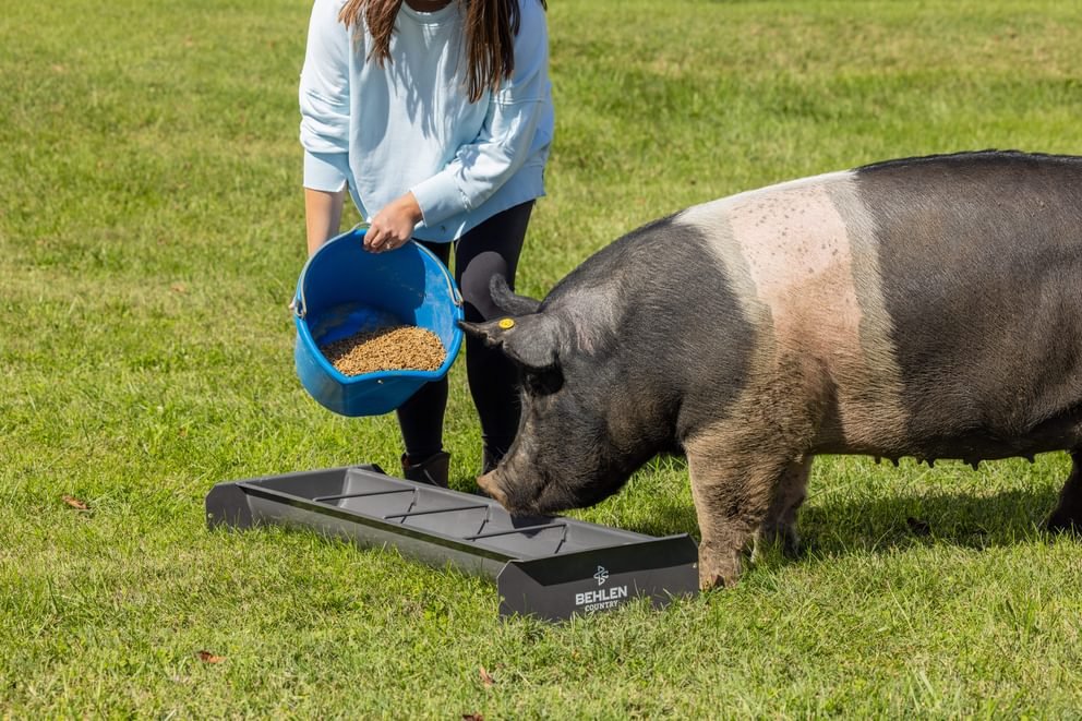Classic Mini Small Animal Feed Trough
