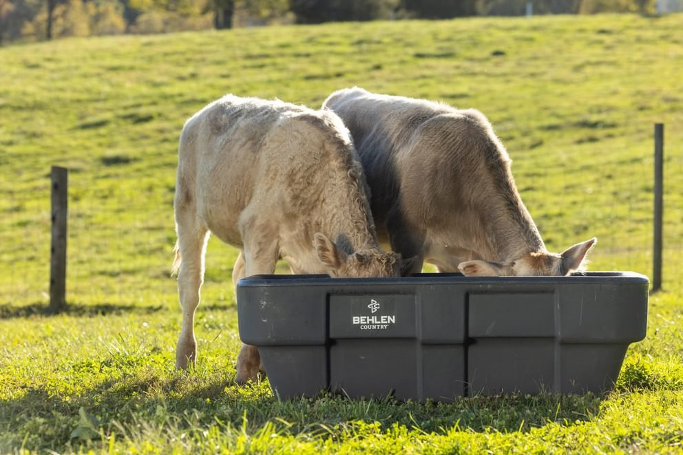 EverTough Poly Bunk Feeder