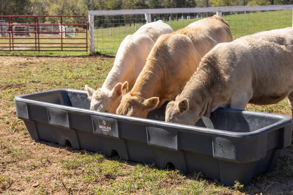 EverTough Poly Bunk Feeder