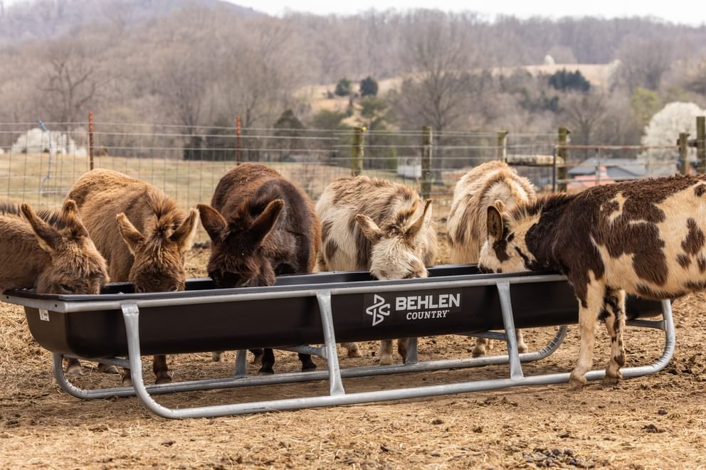 Stockman Galvanized Bunk Feeder