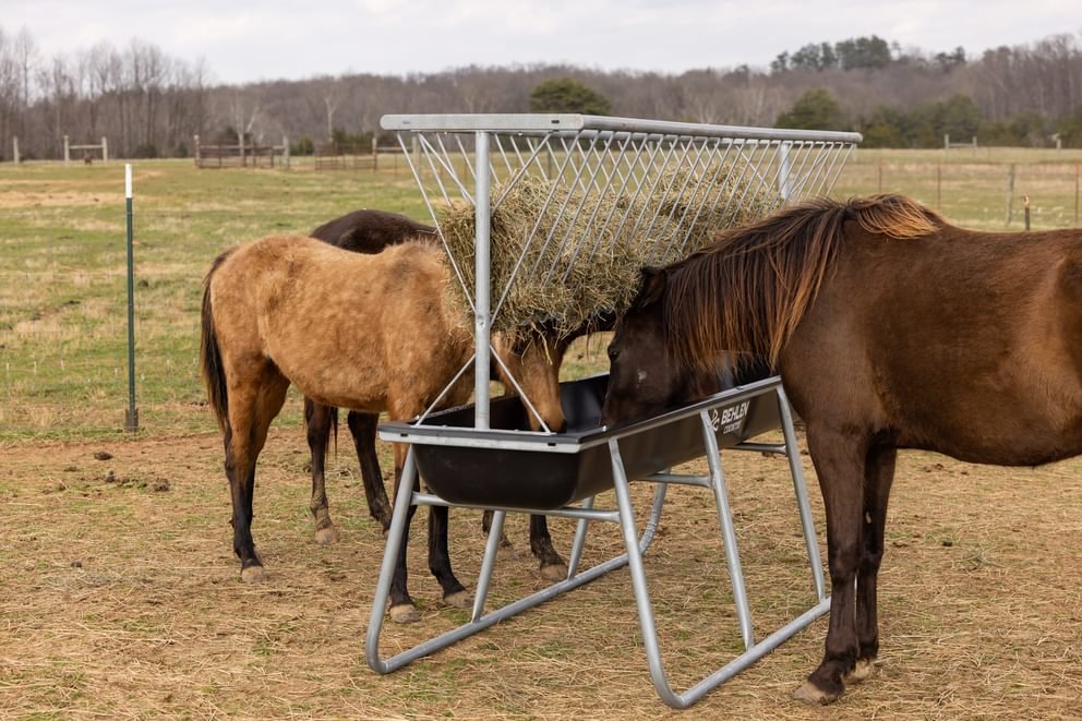Stockman Elevated Bunk Feeder
