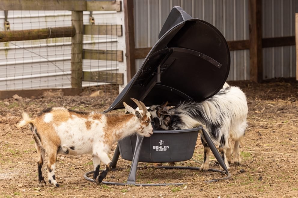 AeroGuard Mini Mineral Feeder