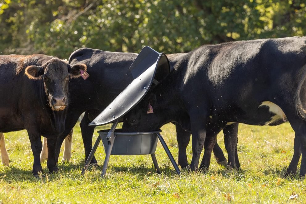 AeroGuard Max Mineral Feeder