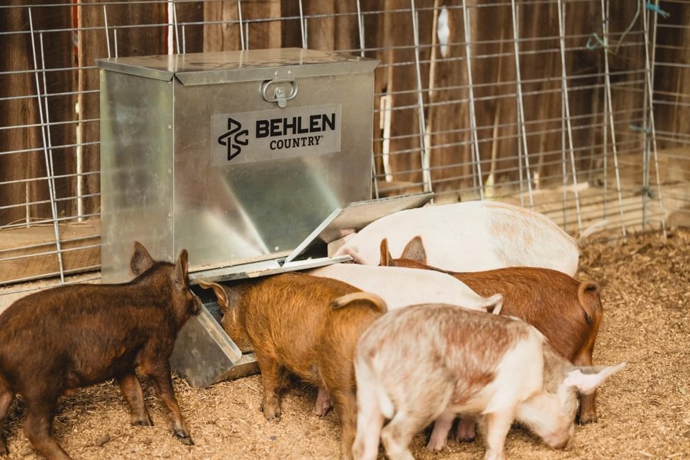 Easy-Feed Feeder