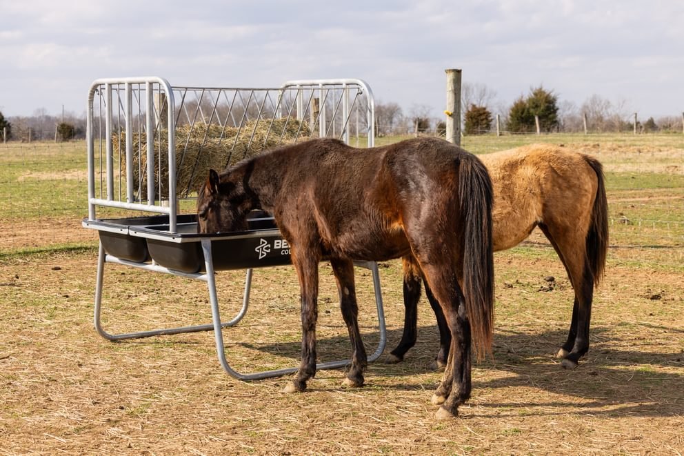 Equine Ace Horse Feeder