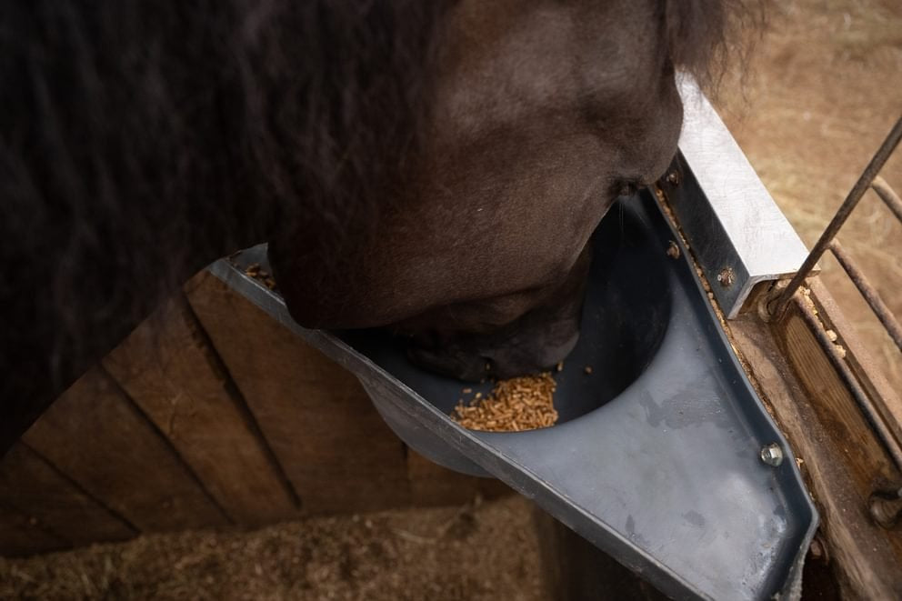 Poly Pro Grain Feeder