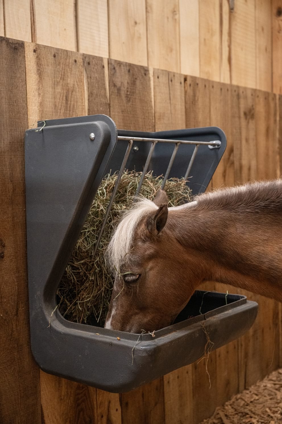 Poly Pro Wall Feeder