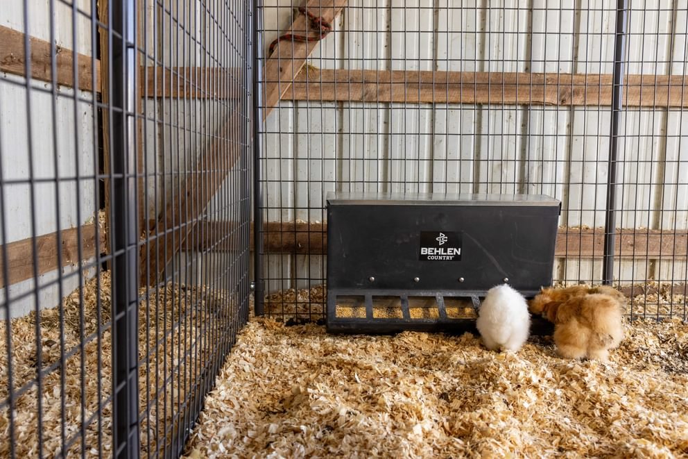 SafeStart Poly Creep Feeder