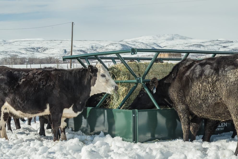 V-Smart Hay Feeder
