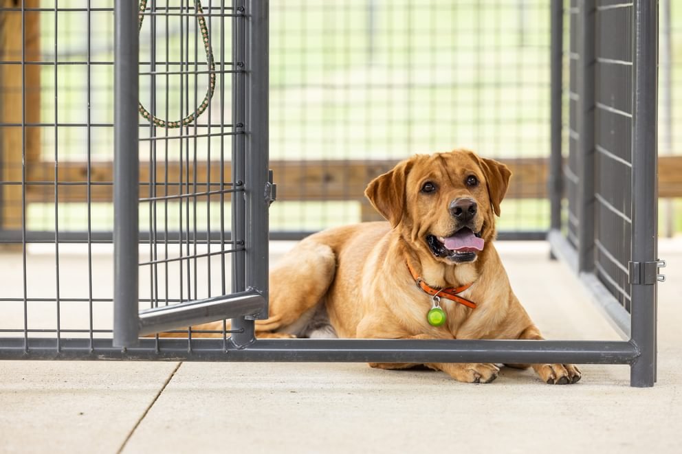 Ruff Guard Kennel - Panels