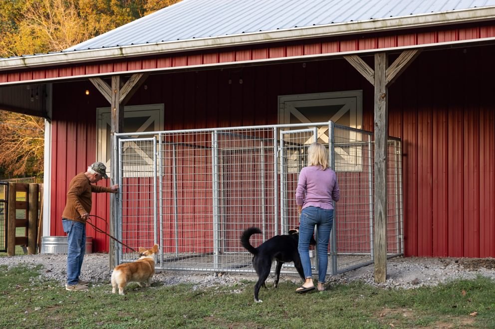 Ruff Guard Pro Kennel - Panels