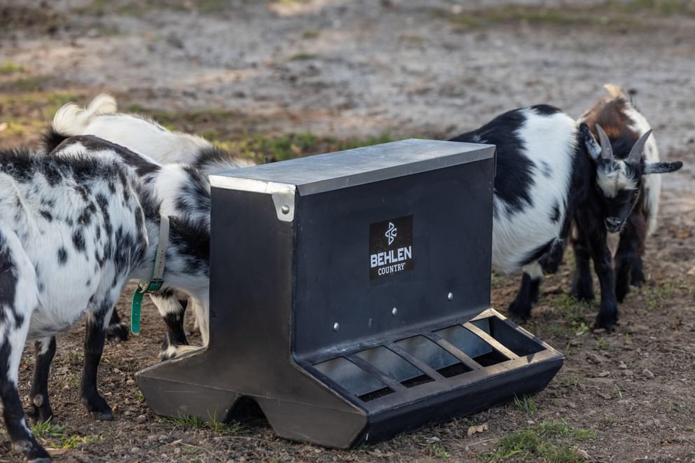 SafeStart Poly Creep Feeder