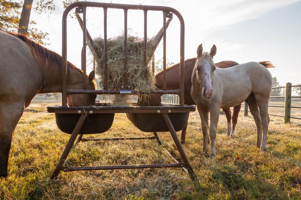 Pasture Feeder - PHFH