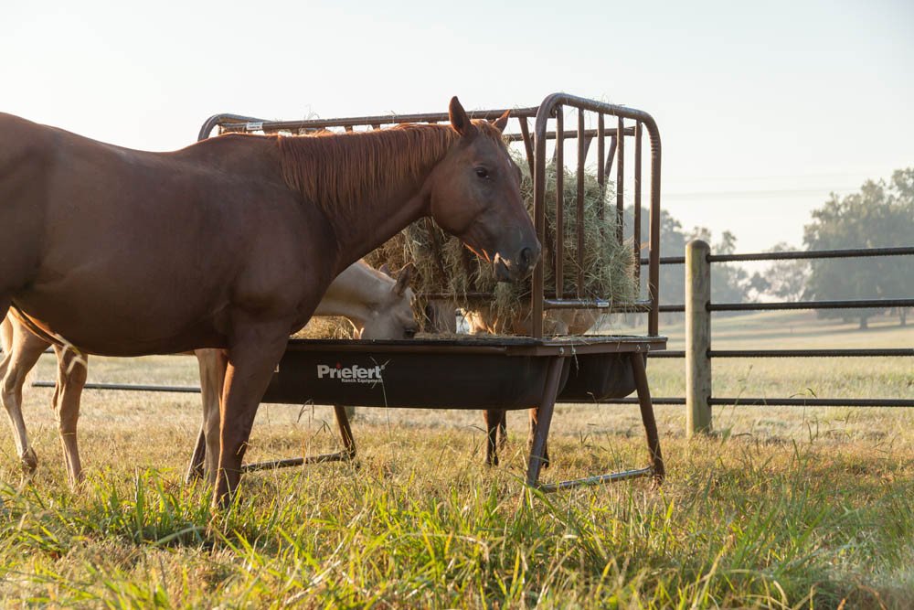 Pasture Feeder - PHFH