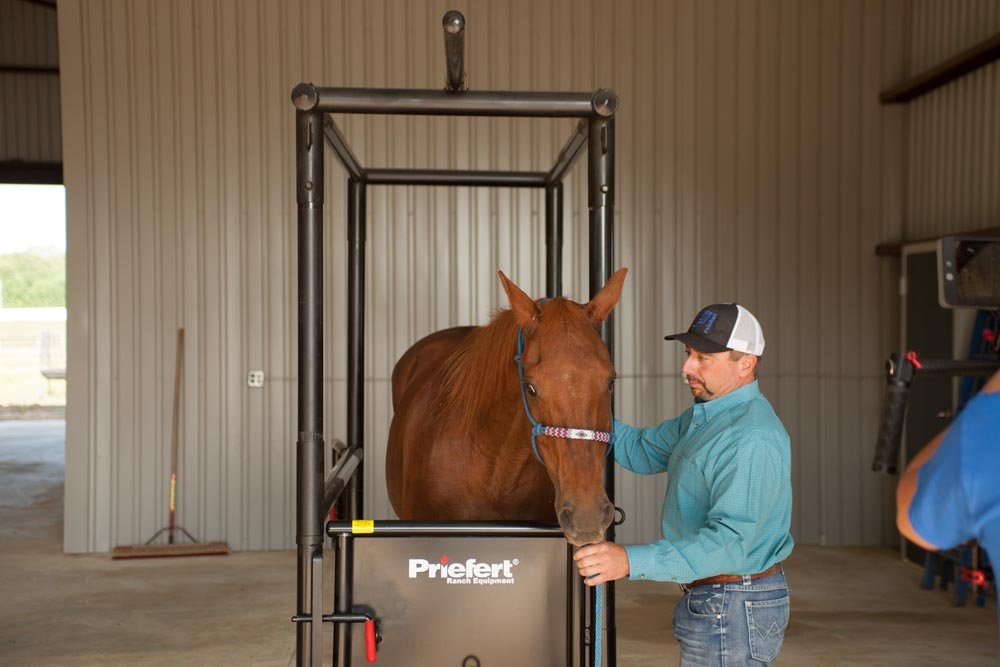 Horse Stock - Priefert