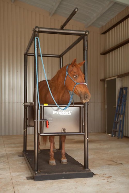 Horse Stock - Priefert