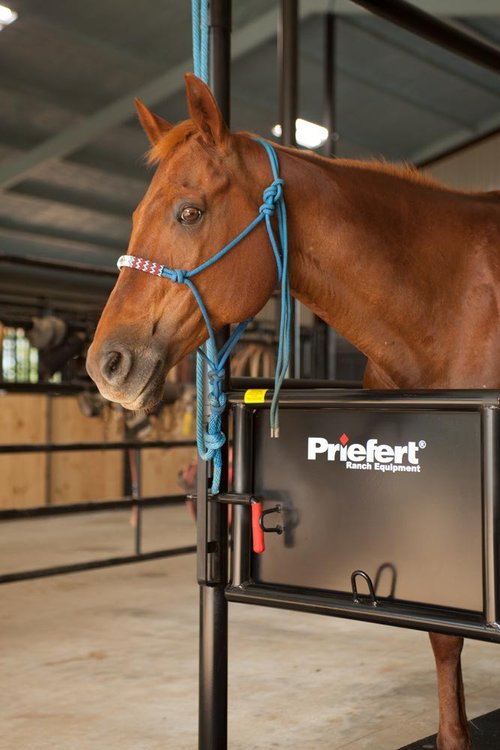 Horse Stock - Priefert