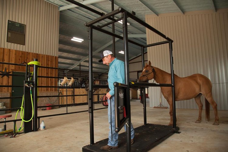 Horse Stock - Priefert