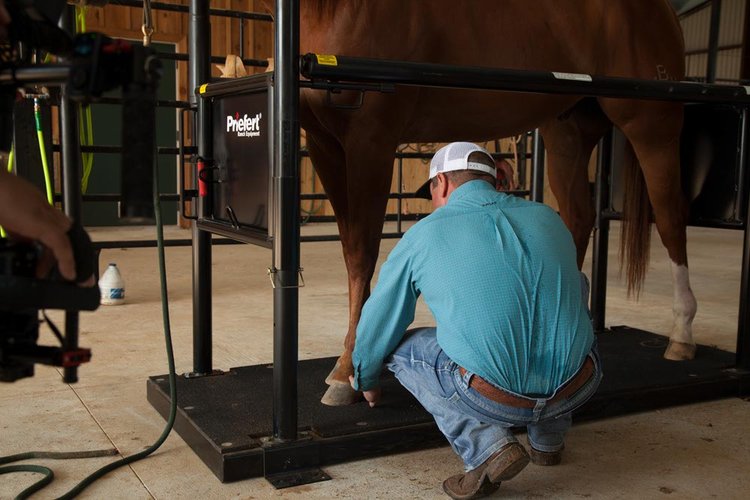 Horse Stock - Priefert