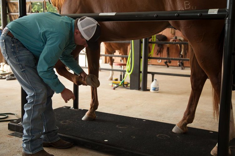 Horse Stock - Priefert