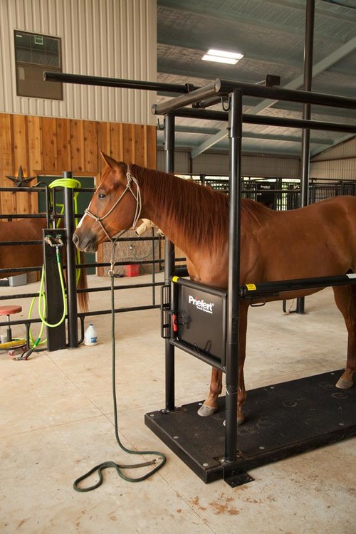 Horse Stock - Priefert