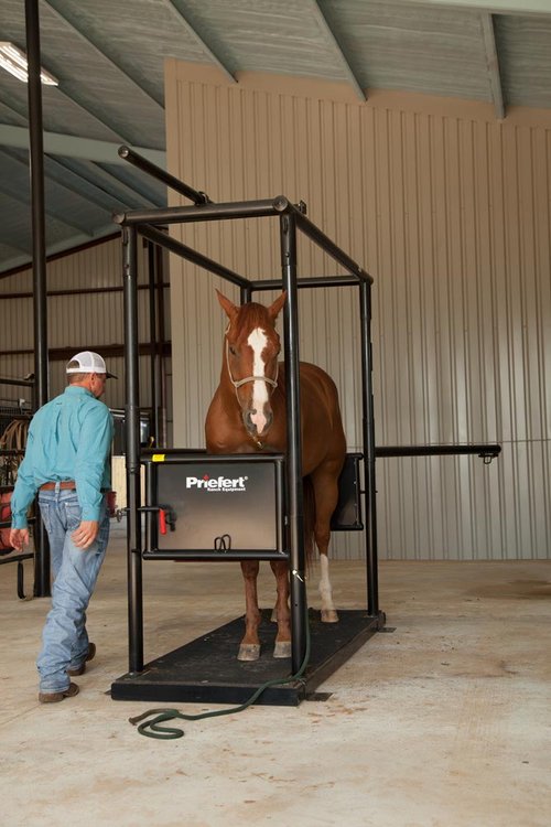 Horse Stock - Priefert