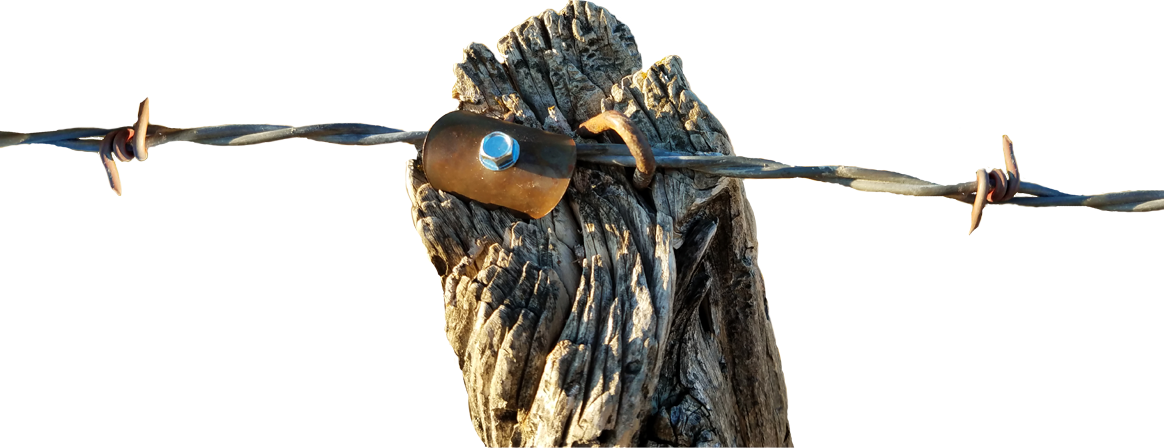 Cat’s Claw Fence Claws for Hardwoods