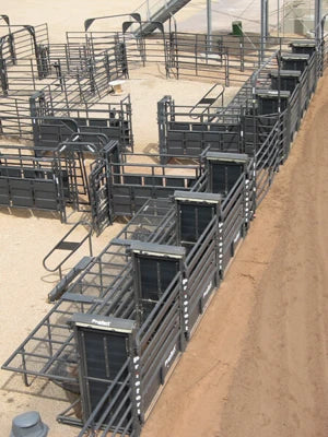 Roughstock Arena with 4 Bucking Chutes, Holding Pens & Practice Pen - ROUGHSTOCK3