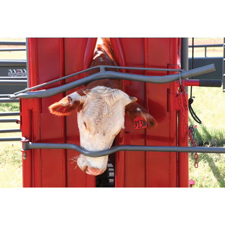 Neck or Nose Bar - WW