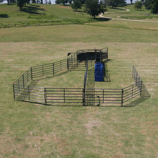 Solid Sweep Corral System 35 Head - SSCS-1