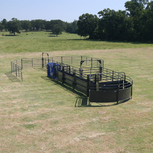 Solid Sweep Corral System 35 Head - SSCS-1