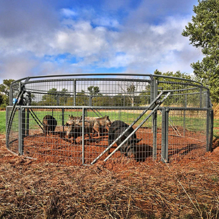 How to Get Rid of Feral Hogs: Why Most Methods Fail and What Actually Works