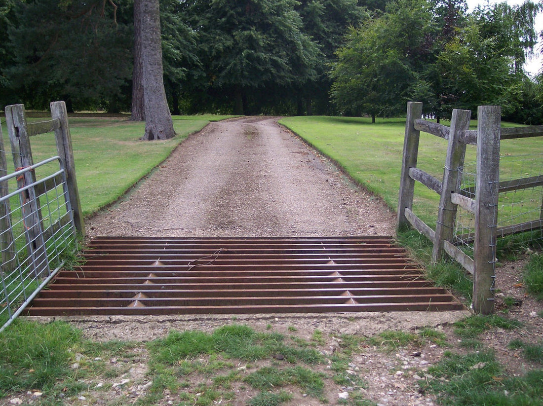 Everything You Need to Know About Cattle Grids