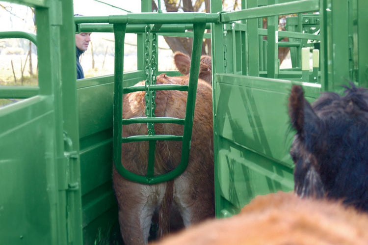 Livestock Handling Equipment – farmranchstore.com