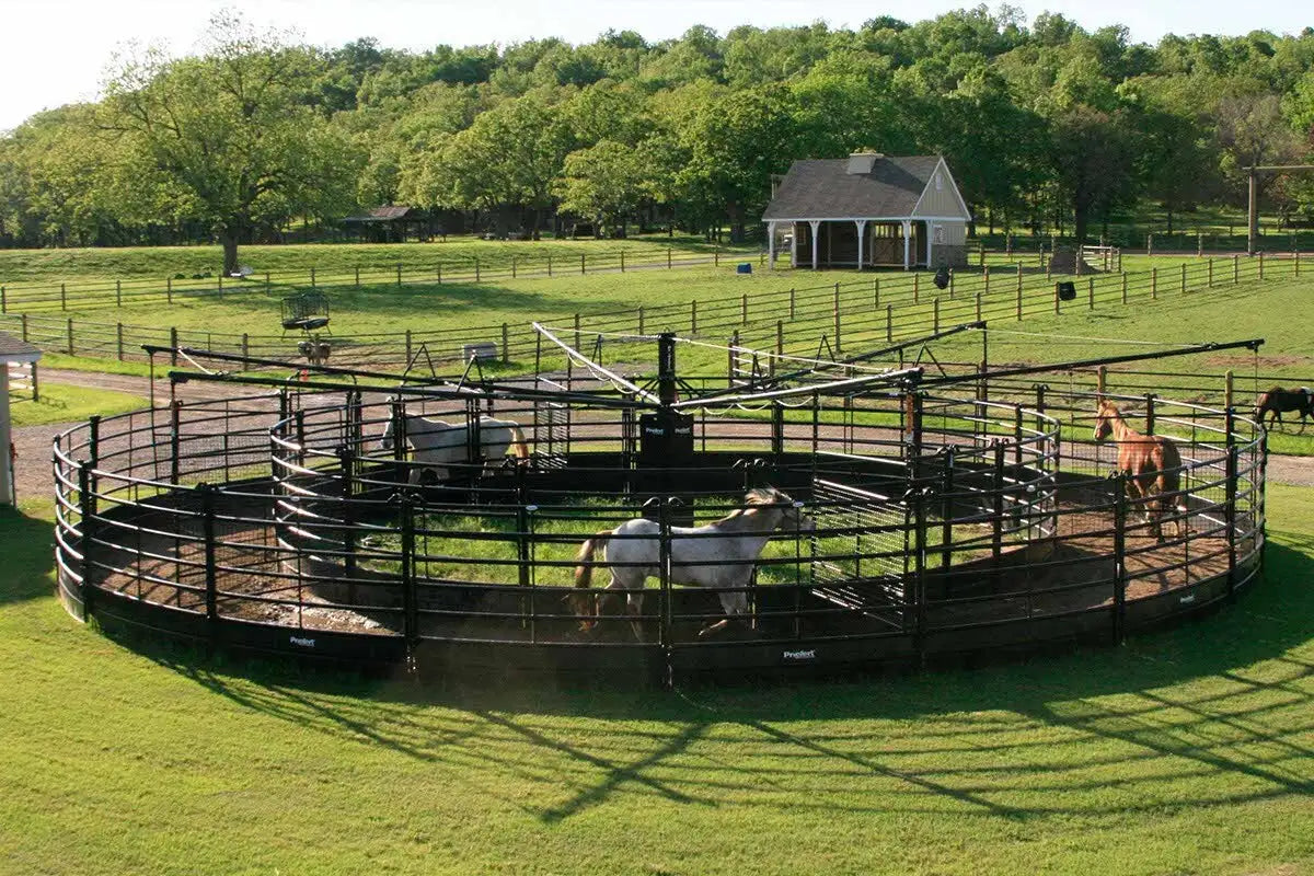 Horse Walkers