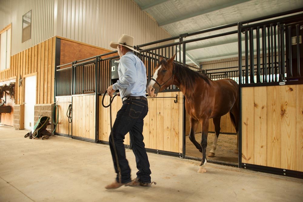 Horse Stalls