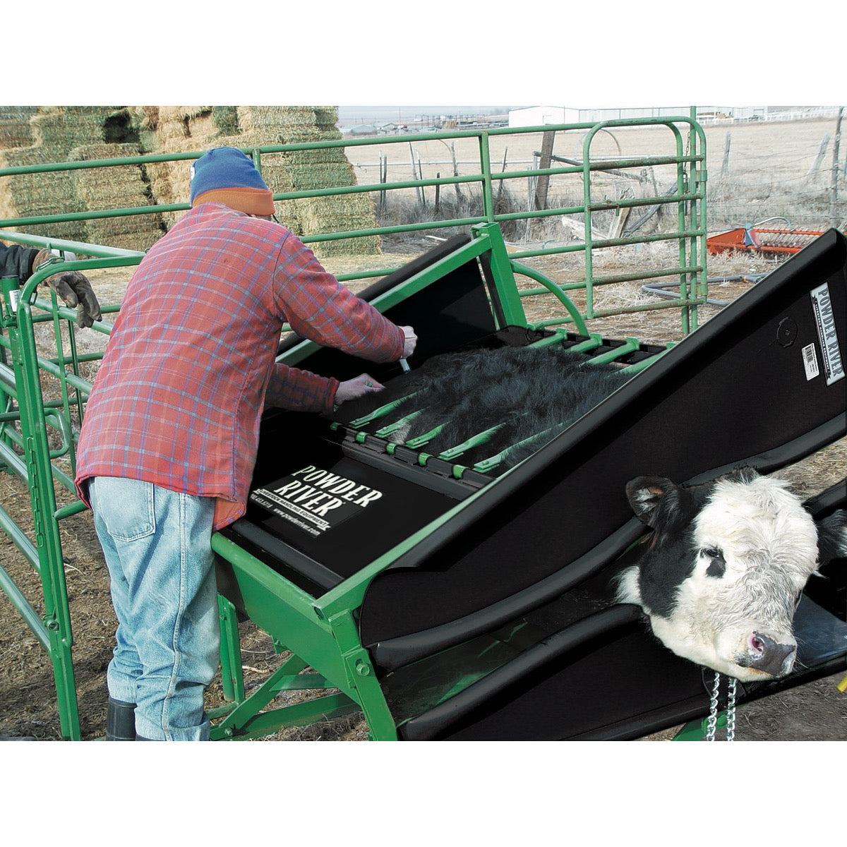 Classic Calf Table Accessories