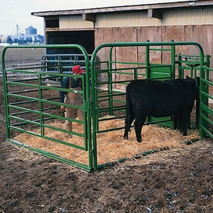 Calving/Health Pen