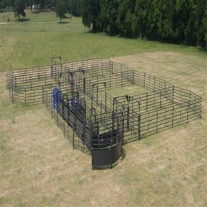 Solid Sweep Corral System 250 Head w/Calf Table - SSCS-5