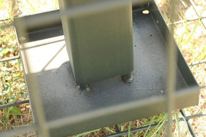Game Bird Feeder