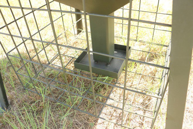 Game Bird Feeder