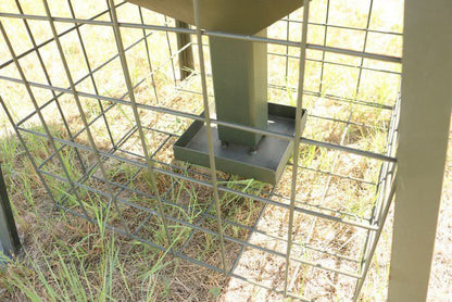 Game Bird Feeder