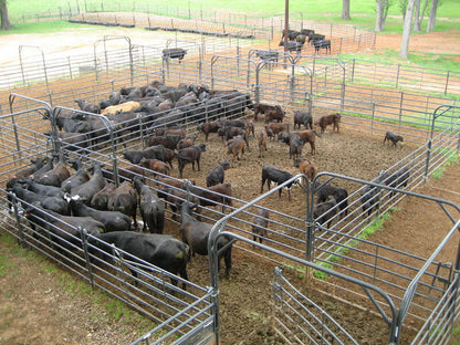 10' Premier Free Swing Bow Gate