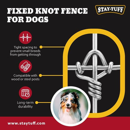 Dog Fence