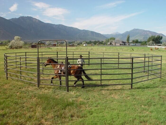 Powder Mountain Round Pen