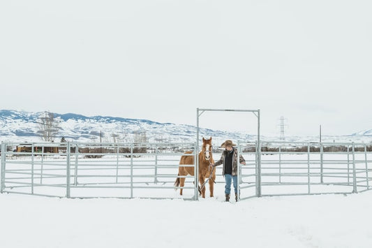 Arena Max XT Round Pens - Behlen Country